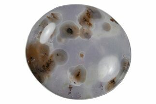 Polished Ocean Jasper Stone - New Deposit #218157