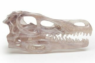 Carved, Banded Fluorite Dinosaur Skull #218479