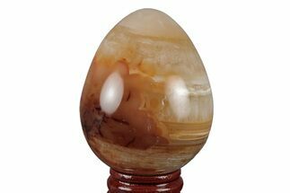 Colorful, Polished Carnelian Agate Egg - Madagascar #219049