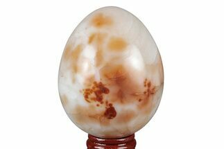 Colorful, Polished Carnelian Agate Egg - Madagascar #219062