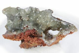 Sparkling Adamite Crystals on Matrix - Ojuela Mine, Mexico #219812