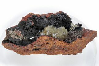 Gemmy Adamite Crystals on Matrix - Ojuela Mine, Mexico #219819