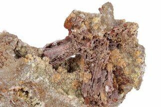 Limonite Pseudomorphs after Köttigite - Ojuela Mine, Mexico #219869