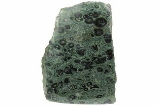 Free-Standing, Single-Side Polished Kambaba Jasper - Madagascar #221050