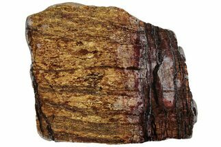 Polished Golden Amphibolite Slab - Western Australia #221699