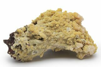 Mimetite Crystal Clusters on Limonitic Matrix - Mexico #220625