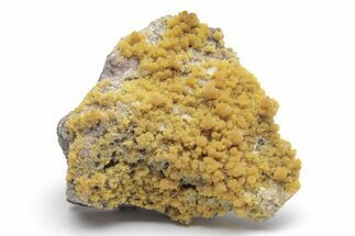 Mimetite Crystal Clusters on Limonitic Matrix - Mexico #220634