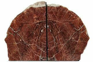 Tall, Arizona Petrified Wood Bookends - Brick Red #222158
