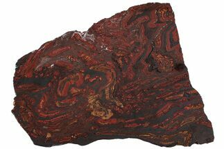Polished Tiger Iron Stromatolite Slab - Billion Years #222107