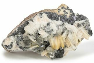 Cerussite Crystals with Bladed Barite on Galena - Morocco #222908