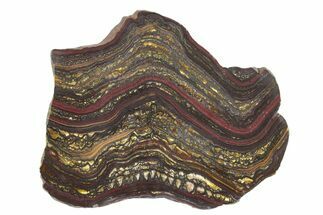 Polished Tiger Iron Stromatolite Slab - Billion Years #222941