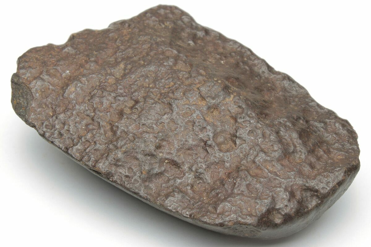 2.5" Chondrite Meteorite (74 grams) Western Sahara Desert (223096