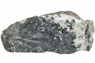 Metallic, Needle-Like Pyrolusite Crystals - Morocco #220635