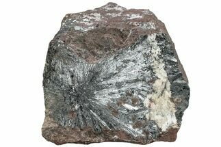 Metallic, Needle-Like Pyrolusite Crystals - Morocco #220646