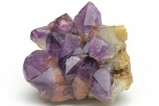 Deep Purple Amethyst Crystal Cluster - Congo #223271