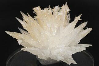 Sharp Fluorescent Calcite Crystal Cluster - Wenshan Mine, China #223576