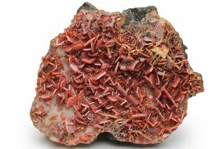 Lustrous, Red-Orange Wulfenite Cluster - Kuruktag Mountains, China #224993