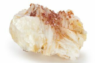 Sparkling, Ruby Red Vanadinite Crystals on Barite - Morocco #223634