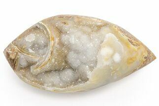 Chalcedony Replaced Gastropod With Sparkly Quartz - India #225585