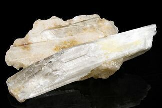 Lustrous Danburite Crystal - San Luis Potosi, Mexico #225686