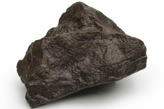 Chondrite Meteorite ( grams) - Western Sahara Desert #226983