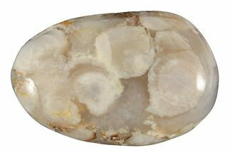 Polished Flower Agate Palm Stone - Madagascar #226840