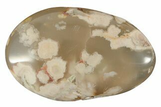 Polished Flower Agate Palm Stone - Madagascar #226862