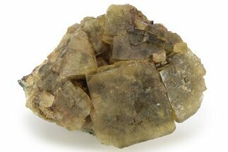 Yellow-Green Cubic Fluorite Crystal Cluster - Morocco #223907