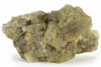 Yellow-Green Cubic Fluorite Crystal Cluster - Morocco #223912