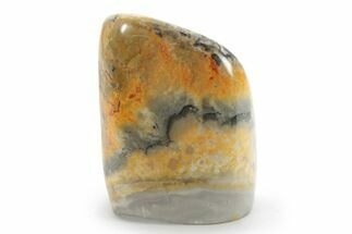 Free-Standing, Polished Bumblebee Jasper - Indonesia #185557