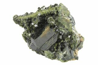 Lustrous Epidote Crystals on Actinolite - Pakistan #213459