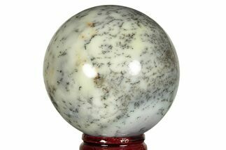 Polished Dendritic Agate Sphere - Madagascar #218902
