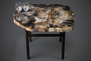 Buy Petrified Wood Tables