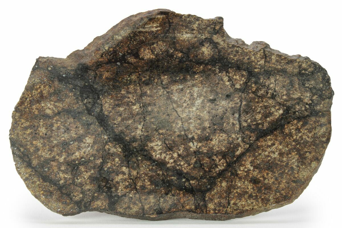 4.2" Chondrite Meteorite (89 g) Slice with Shock Veins Morocco