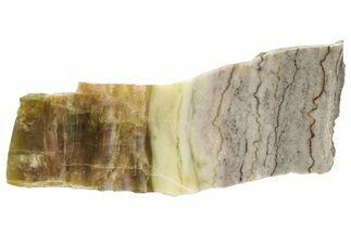 Chatoyant, Polished Pietersite Slab - Arizona #227849