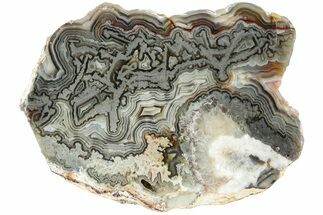 Polished Crazy Lace Agate Section - Mexico #228112