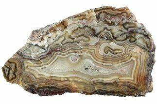 Polished Crazy Lace Agate Section - Mexico #228113