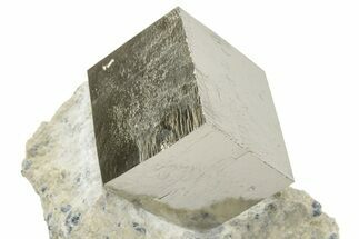 Natural Pyrite Cube In Rock - Navajun, Spain #227641