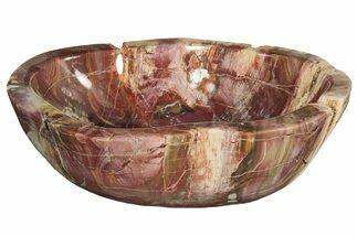 Gorgeous, Polished Petrified Wood Bowl - Madagascar #228947