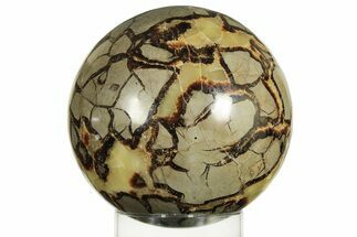 Polished Septarian Sphere - Madagascar #227560