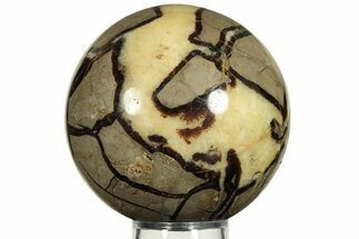Polished Septarian Sphere - Madagascar #227562