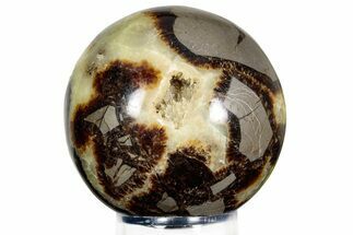 Polished Septarian Sphere - Madagascar #230382