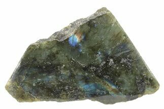 Single Side Polished Labradorite Section - Madagascar #230271
