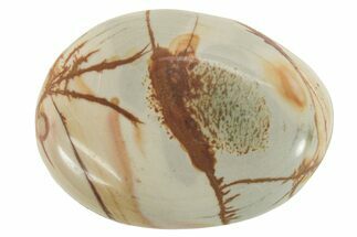 Polished Jasper Palm Stone - Madagascar #181586