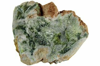 Radiating, Green Wavellite Crystal Aggregation - Arkansas #213330