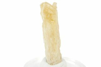 Gemmy Imperial Topaz Crystal - Zambia #231328