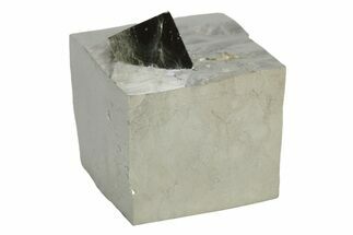 Natural Pyrite Cube - Spain #231469