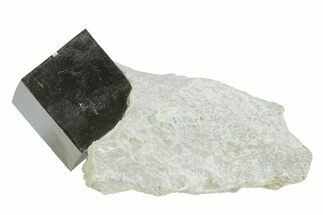 Natural Pyrite Cube In Rock - Navajun, Spain #231441