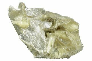 Lustrous Muscovite Crystal Cluster - Minas Gerais, Brazil #231881