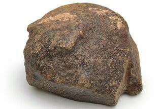 Chondrite Meteorite ( g) - Unclassified NWA #232078